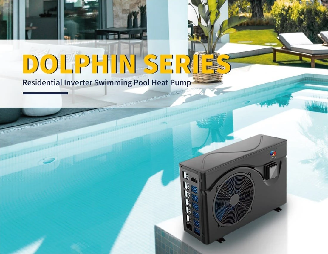 DOLPHIN7